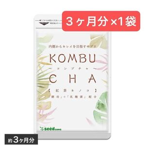 3ヶ月分×1袋 コンブチャ シードコムス 紅茶キノコ 乳酸菌 酵母 ダイエット サプリメント