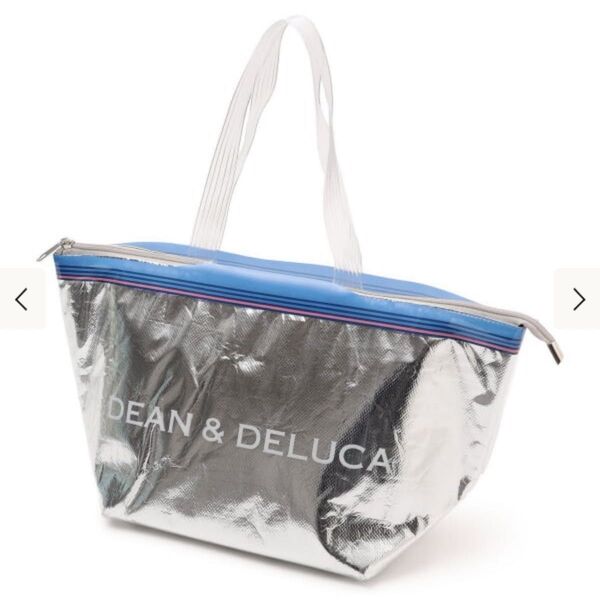 DEAN&DELUCA Ziploc BEAMS コラボ ディーンアンドデルーカ 保冷バッグ クーラーバッグ シルバー 新品未開封