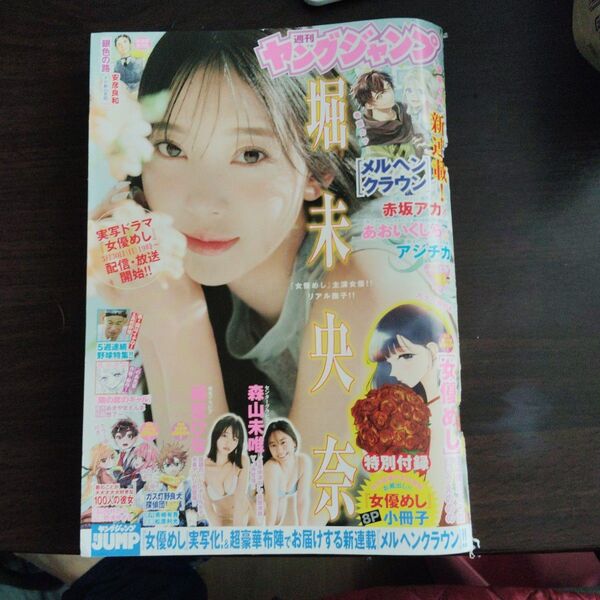 週刊ヤングジャンプ 16号 巻頭グラビア 堀未央奈