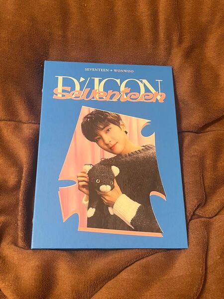 SEVENTEEN セブチ DICON D'FESTA トレカケース ウォヌ