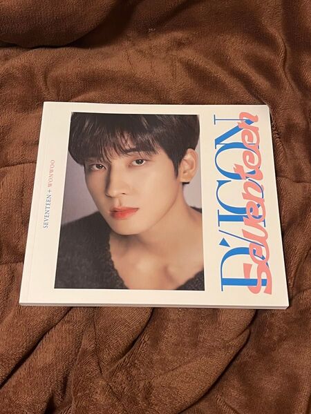 SEVENTEEN DICON ウォヌ