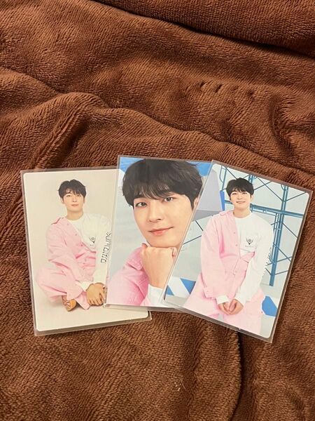 SEVENTEEN トレカ ウォヌ