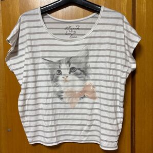 レディース トップス Tシャツ カットソー 半袖 猫
