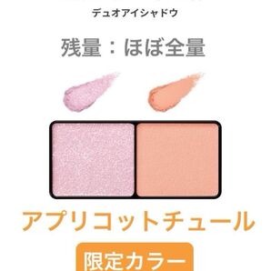 *限定*エテュセ アイエディション (カラーパレット)21. アプリコットチュール*匿名配送*最終価格*