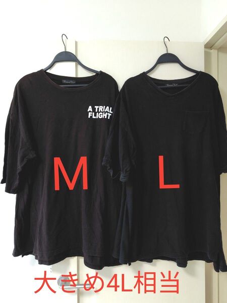 訳ありTシャツ2枚セット L М 大きめサイズ 4L 5L相当 ビックT ロゴ スポーティー Tシャツ