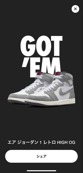 Nike Air Jordan 1 Retro High OG Black and Smoke Grey 27.5cm US9.5