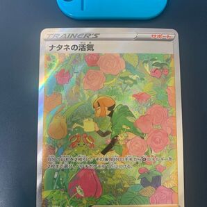 ポケモンカード ナタネの活気 SAR
