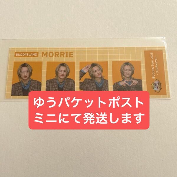 証明写真風フォトカード B賞 MORRIE