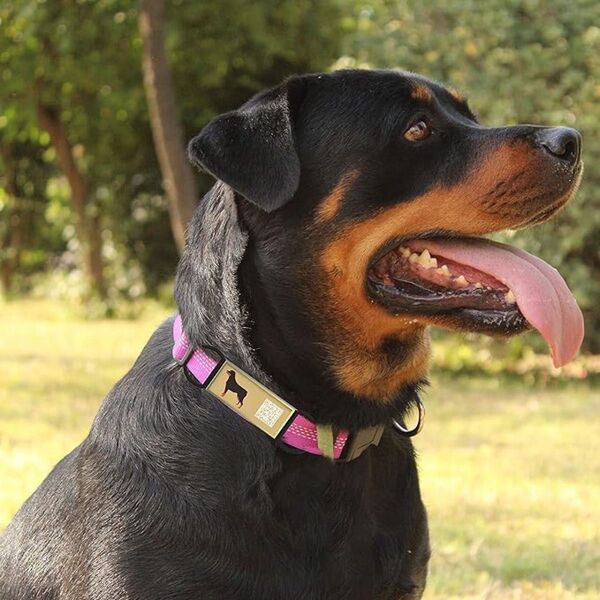 ドッグタグ QRコード犬タグ、ペットIDタグ 迷子防止 中型犬、大型犬向け