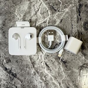 Apple純正品 有線イヤホン 充電アダプター USB -lightning iPhone Apple ライトニングケーブル