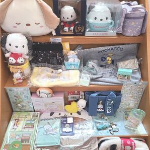 ポチャッコ 詰め放題のように詰めました サンリオ LEDライト カゴバッグ ぬいぐるみ