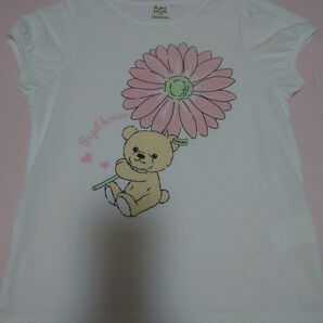 Pupil House ピューピルハウス 半袖 130cm トップス クマ くま