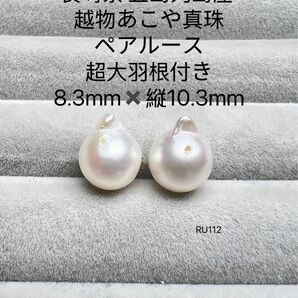 長崎県 五島列島産 越物あこや真珠 ヨコ8.3mmタテ10.3mmペアルースRU112
