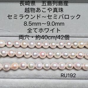 長崎県 五島列島産 越物あこや真珠 8.5mm〜9.0mm RU192
