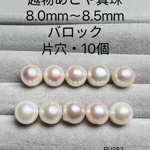 伊勢志摩 英虞湾産 越物あこや真珠 大珠 8.0mm〜8.5mm RU283