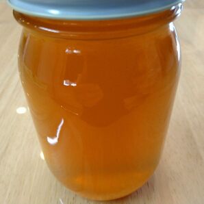 ☆徳島剣山系☆西洋ミツバチ蜂蜜600g☆百花蜜天然はちみつ☆