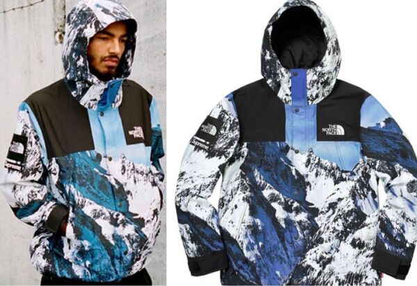 M 国内正規品 17AW Supreme The North Face Mountain Parka