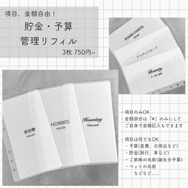 Savingリフィル セミオーダー 預金管理 貯金 3枚~