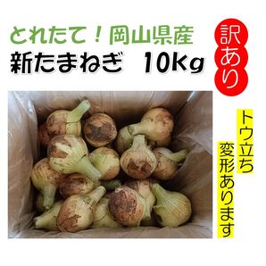 新玉ねぎ 岡山県産 訳あり 10kg以上
