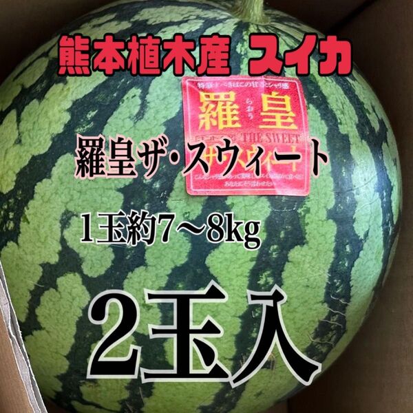 熊本植木産 スイカ 羅皇ザ・スウィート1玉約7~8kg 家庭用(2玉入)
