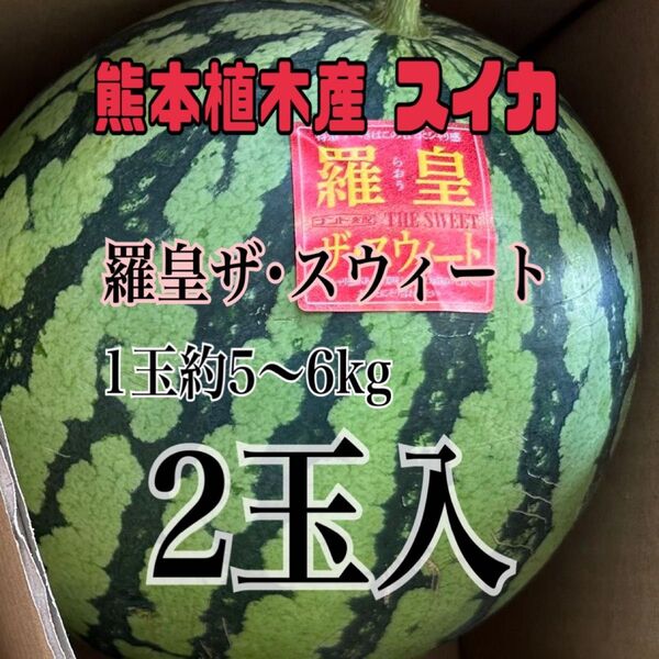 熊本植木産 スイカ 羅皇ザ・スウィート1玉約5~6kg 家庭用(2玉入)