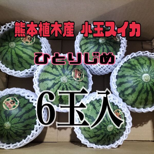 熊本植木産 小玉スイカ ひとりじめ (6玉入)