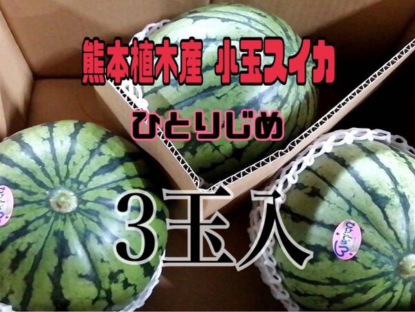 熊本植木産 小玉スイカ ひとりじめ (3玉入)