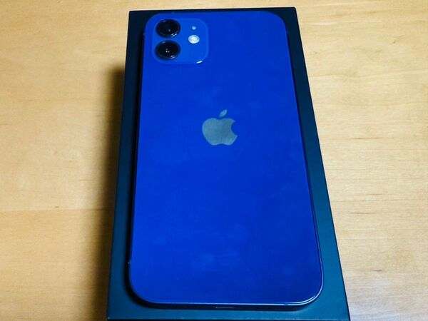Apple iPhone12 64GB ブルー SIMフリー 本体 美品 バッテリー100%
