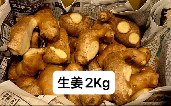 高知県産親生姜2Kg