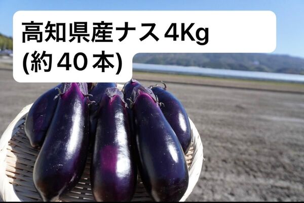 『朝取れ!!農家直送』高知県産ナス4Kg