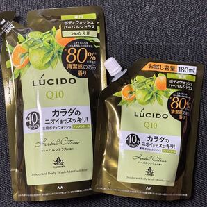 ルシード 薬用デオドラントボディウォッシュ ハーバルシトラス 2個セット
