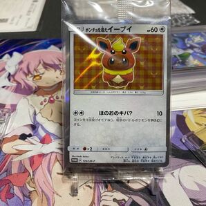ポンチョを着たイーブイ 未開封