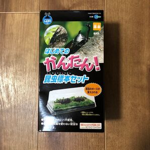 はじめてのかんたん! 昆虫標本キット