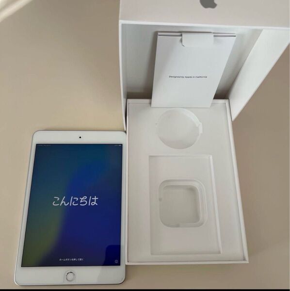 iPad mini 5 Cellular 256GB Apple