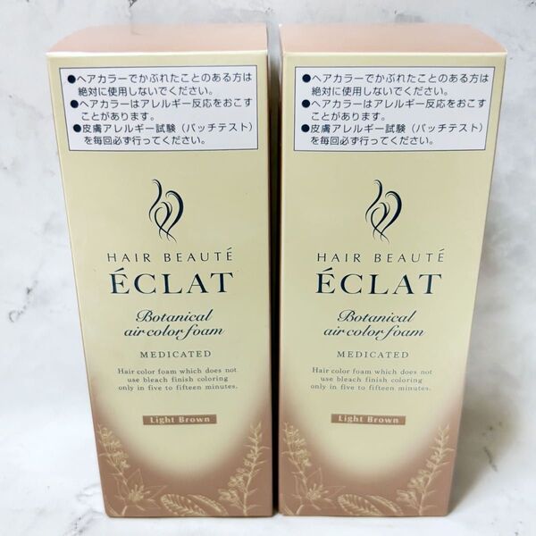 【2本セット】ヘアボーテエクラ ボタニカルエアカラーフォームEX ライトブラウン 80g 白髪染め 泡カラー ヘアカラー
