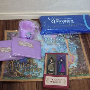 ディズニー ファンタジースプリングス グッズ まとめ売り