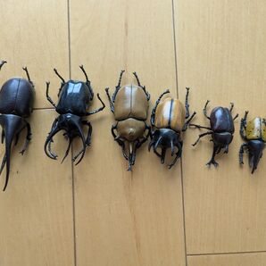 カロラータ 立体図鑑 ライナセラスビートル カブトムシ フィギュア6個セット