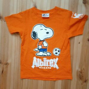 アルビレックス新潟×スヌーピー コラボTシャツ 120サイズ