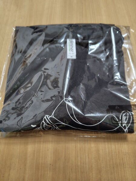 秋吉台カルストトレイル2025 参加賞Tシャツ Mサイズ