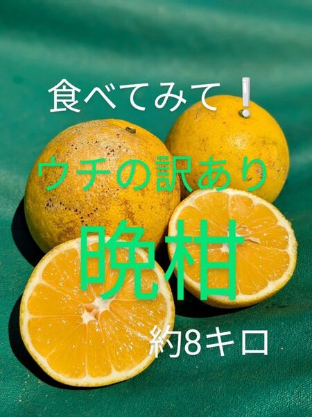 晩柑 家庭用訳あり 約8キロ