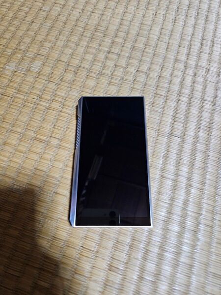 美品 Fiio M23 SS 国内正規品