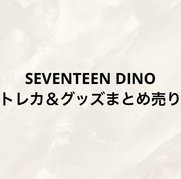 SEVENTEEN DINO ディノ イチャン トレカ&グッズまとめ売り