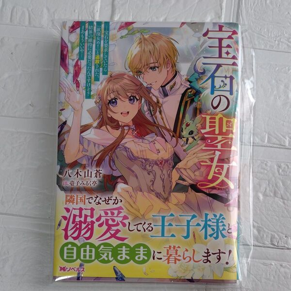 宝石の聖女 宝石を要求していたら「欲深女め!」と追放された。結界の維持に必要だったんですけど?まあもういいや