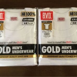 BVD 丸首半袖Tシャツ GOLD MEN’S UNDER WEAR 2枚組