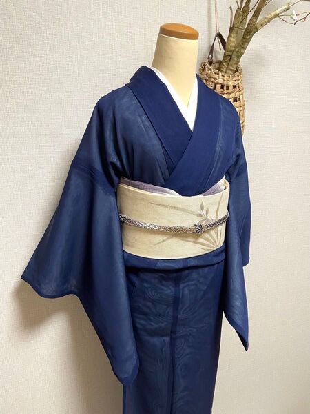 正絹 紗合わせ 色無地 一つ紋入り(抜き紋)身丈(肩から)162㎝