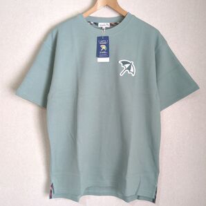 アーノルドパーマー カノコスムース ビッグアンブレラTシャツ シェアMサイズ ミント レディースL〜LL