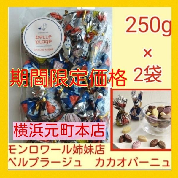 n■期間限定価格■たっぷり250g×2袋■ベルプラージュカカオパーニュ■モンロワール姉妹店リーフメモリー■チョコレートギフトシェア