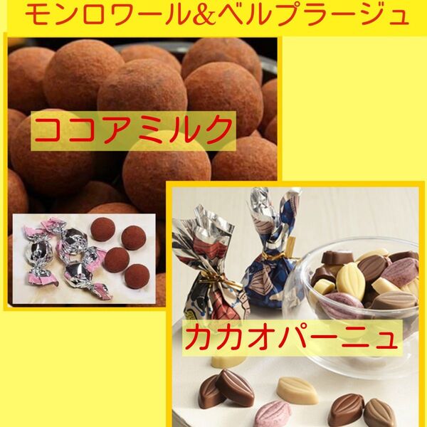 ■1セット限り■大容量 250g×2袋■モンロワール&ベルプラージュ■ココアミルク&カカオパーニュ■カカオチョコレート■