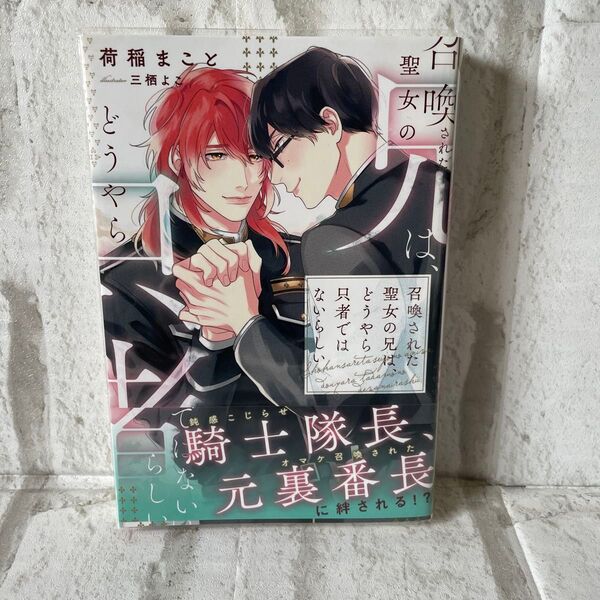 召喚された聖女の兄は、どうやら只者ではないらしい (&arche NOVELS) 荷稲まこと/〔著〕