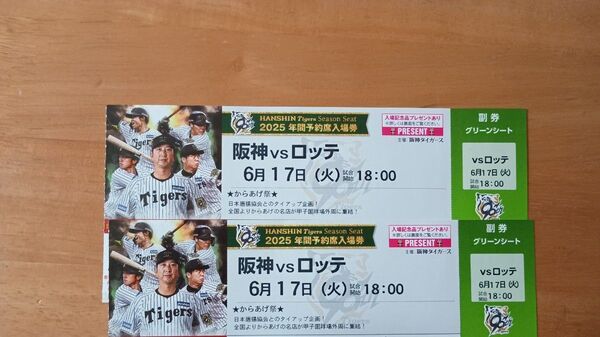 甲子園グリーンシート 6月17日阪神vsロッテ戦